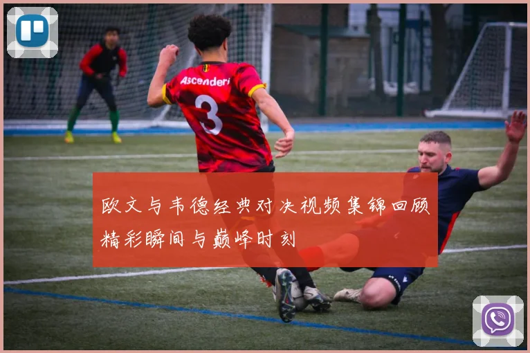 欧文与韦德经典对决视频集锦回顾精彩瞬间与巅峰时刻