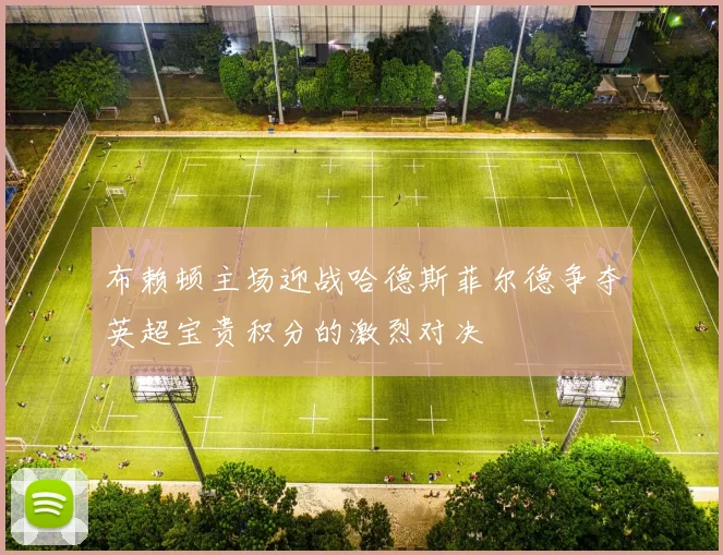 布赖顿主场迎战哈德斯菲尔德争夺英超宝贵积分的激烈对决