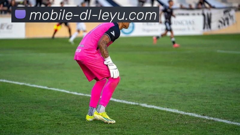 女足对阵尼日利亚比赛结果揭晓精彩瞬间回顾与分析